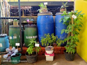 WhatsApp-Image-2021-04-20-at-08.29.30-300x225 Bimtek Adiwiyata bagi sekolah